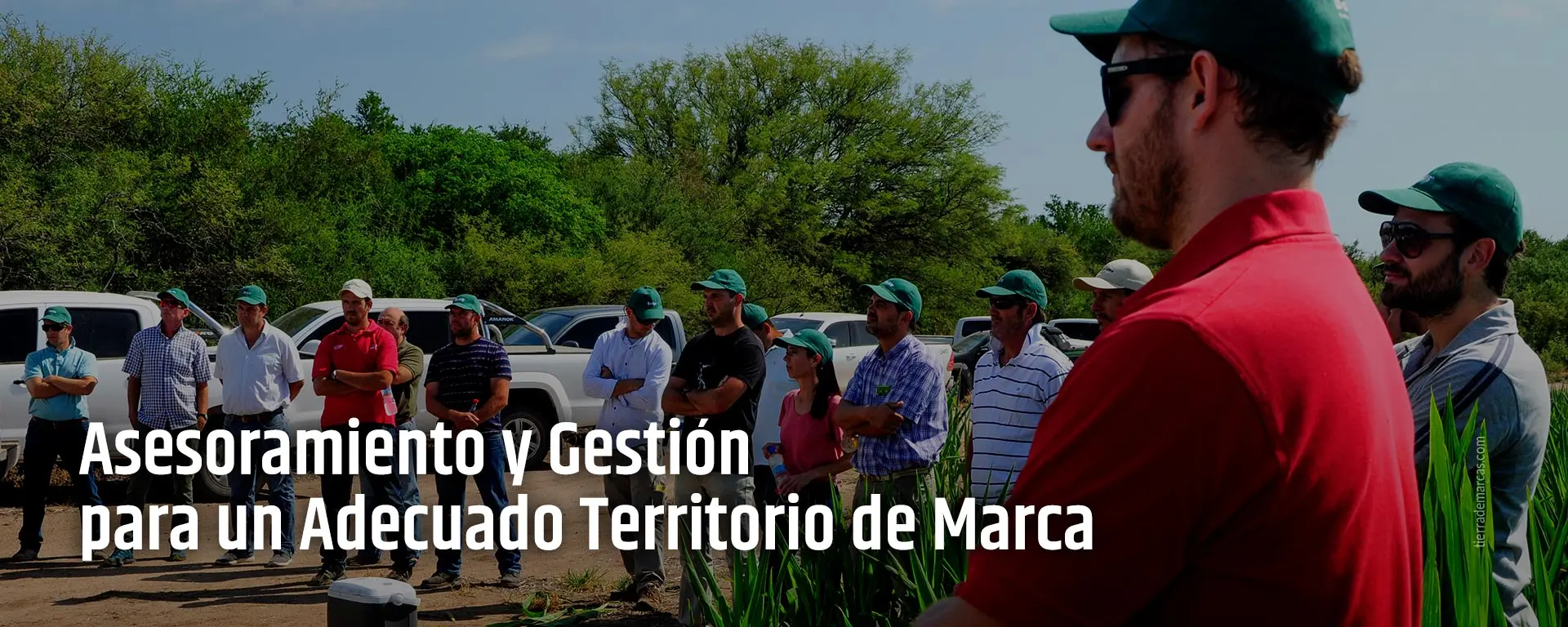 Territorio de Marca